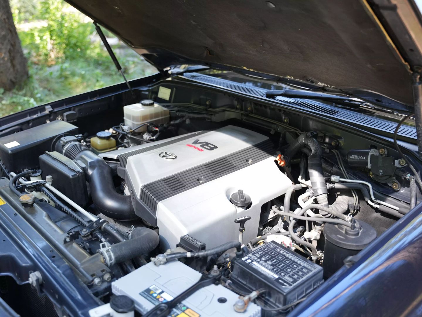 1998 Toyota Land Cruiser VX Limited