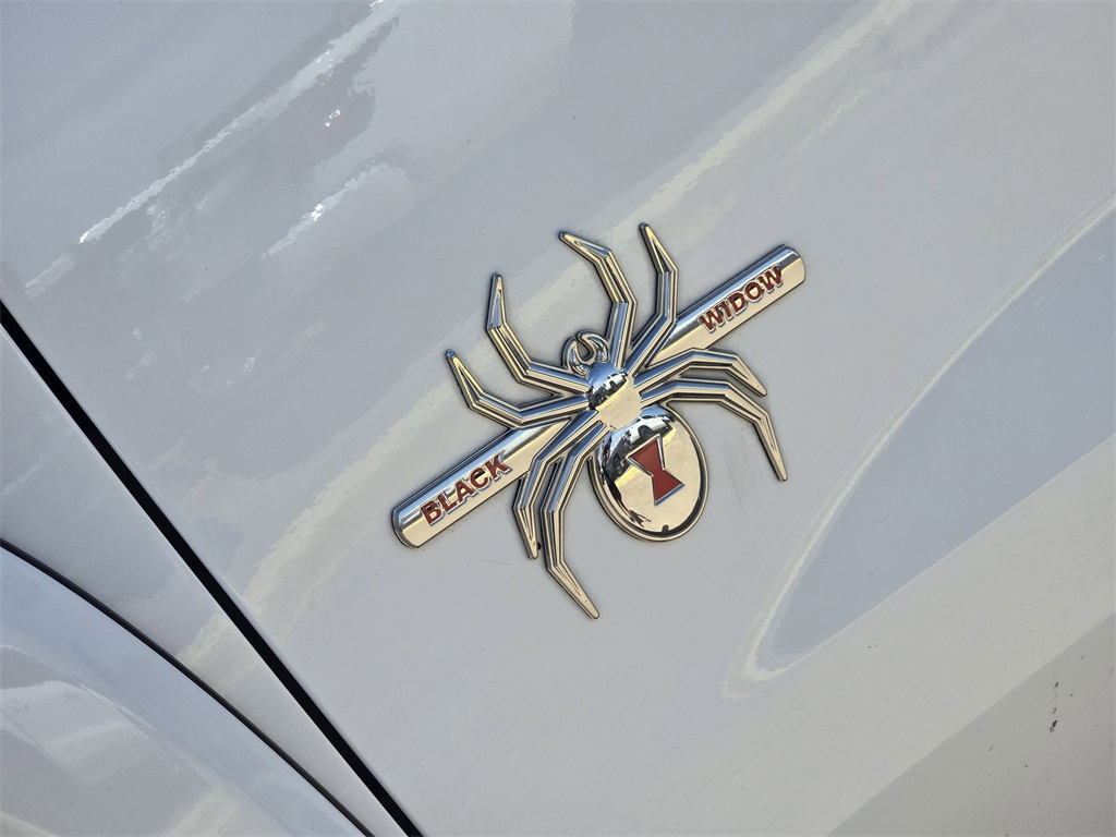 2019 Chevrolet Silverado 1500 RST Black Widow