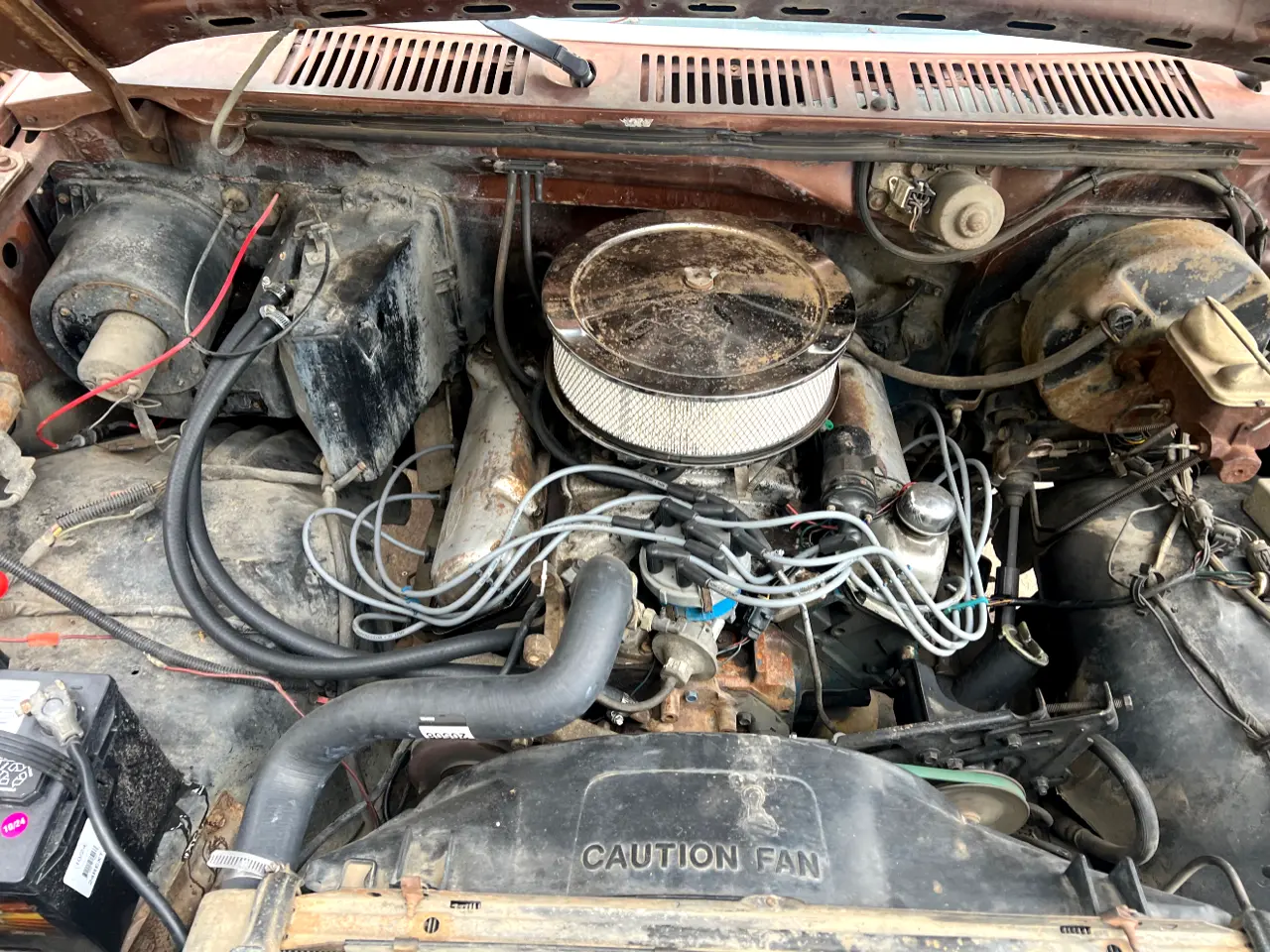 1981 Ford Bronco - 2