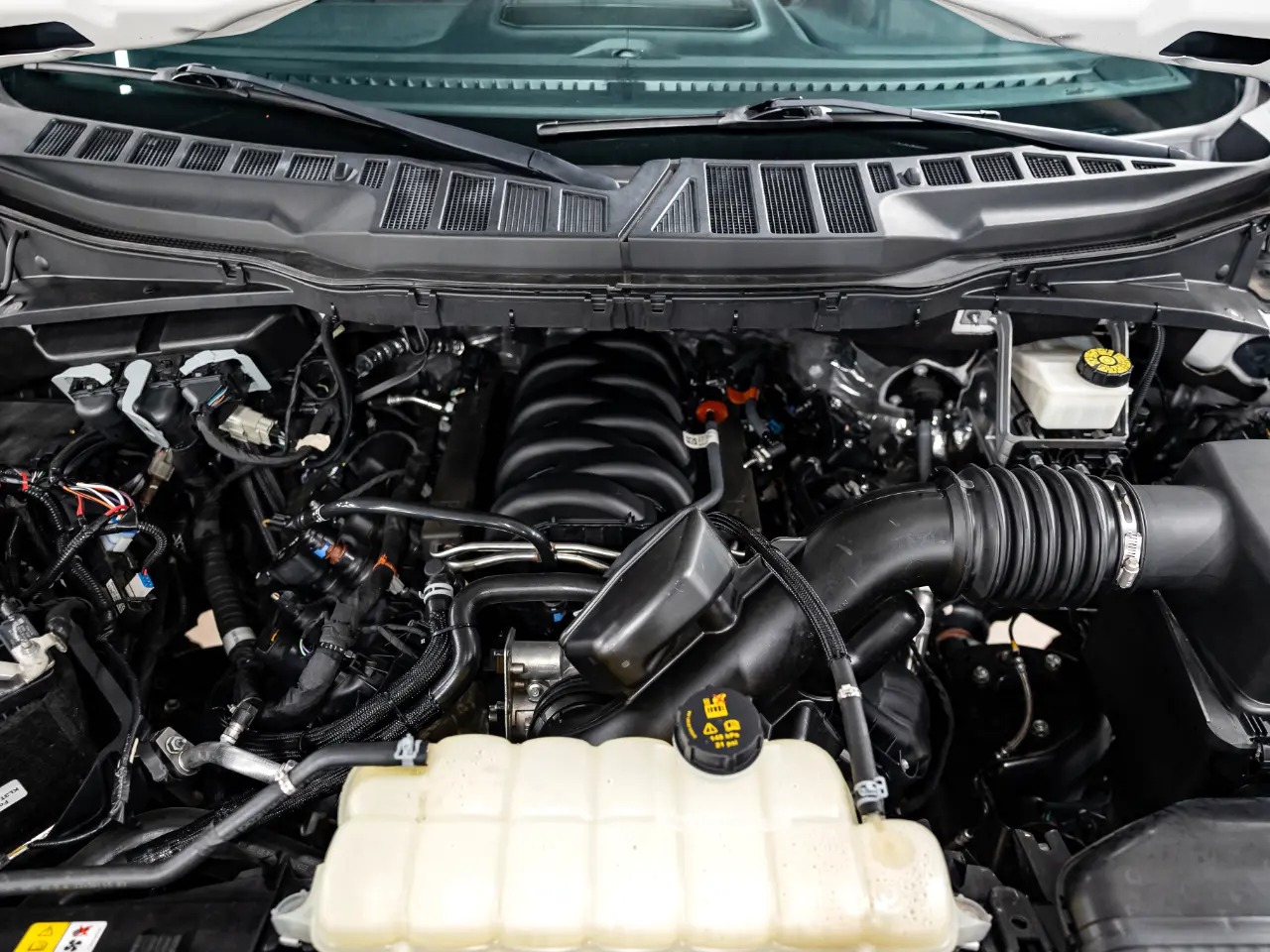 2023 Ford F-150 Shelby Lariat