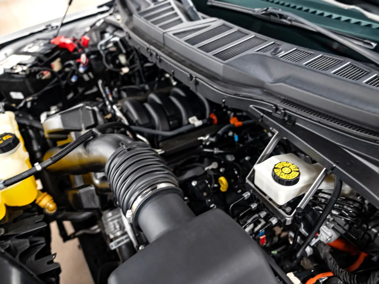 2023 Ford F-150 Shelby Lariat