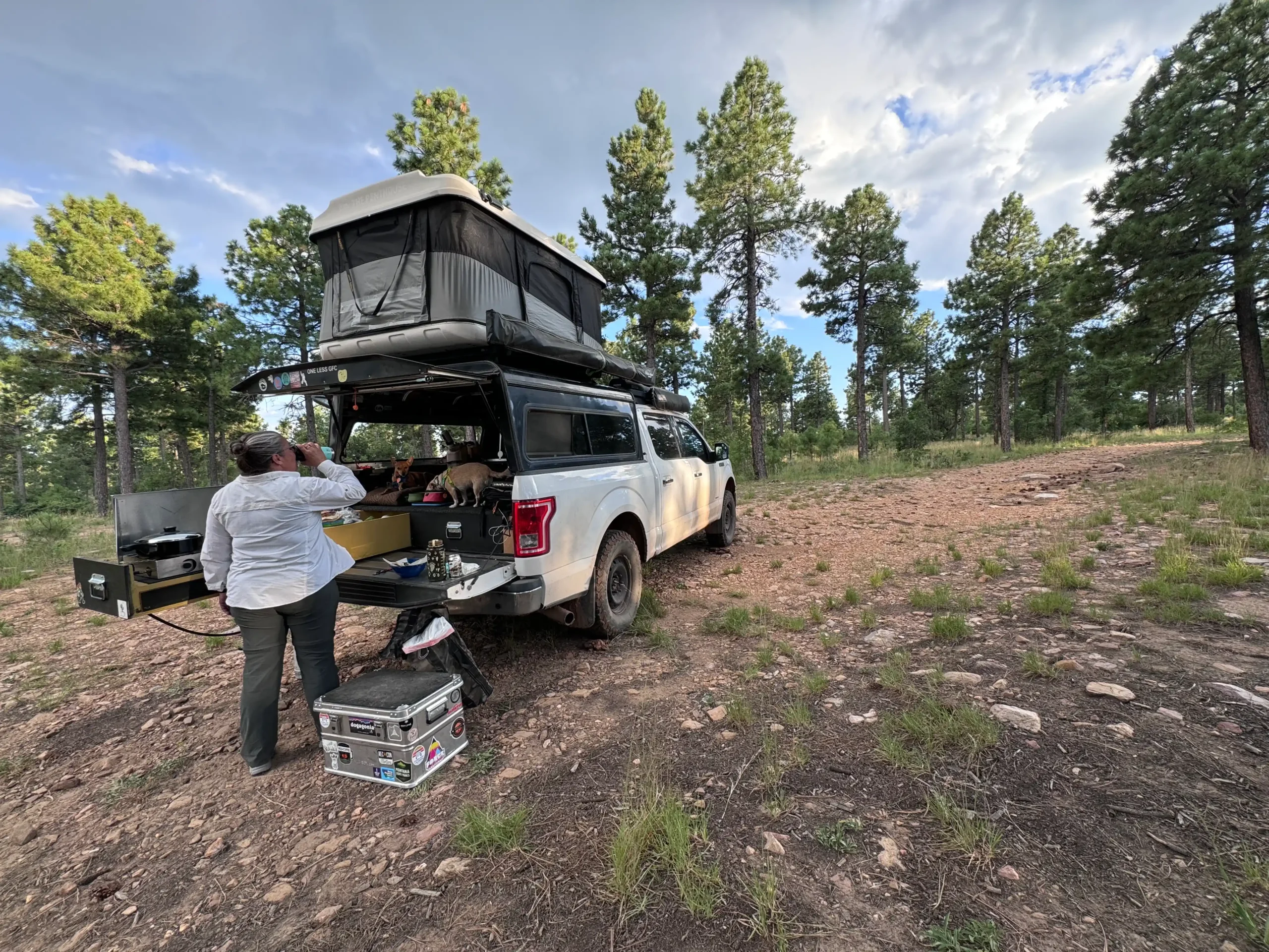 2016 Ford F-150 XLT FX4 Overlander - 2