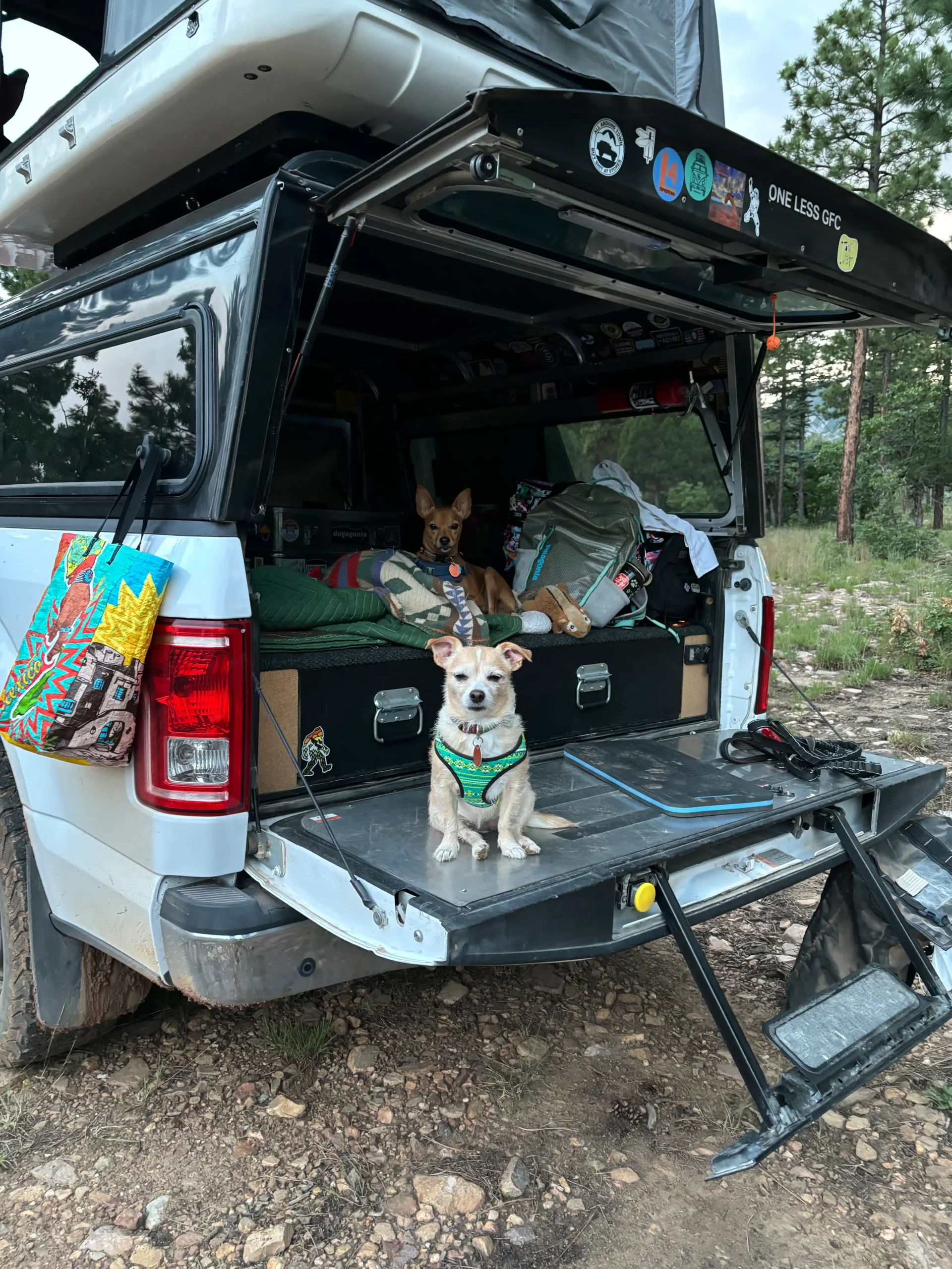 2016 Ford F-150 XLT FX4 Overlander - 3