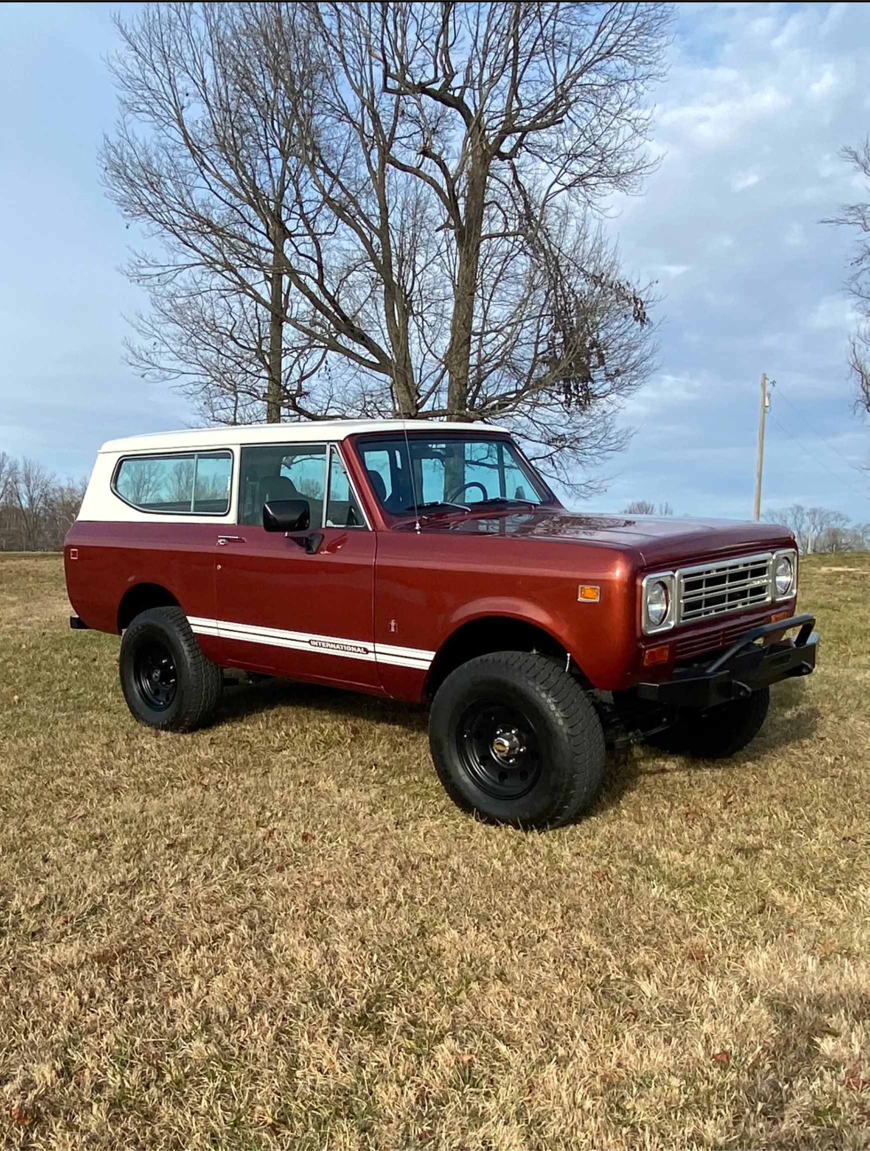 6.0L V8-Powered 1979 International Harvester Scout II - 3