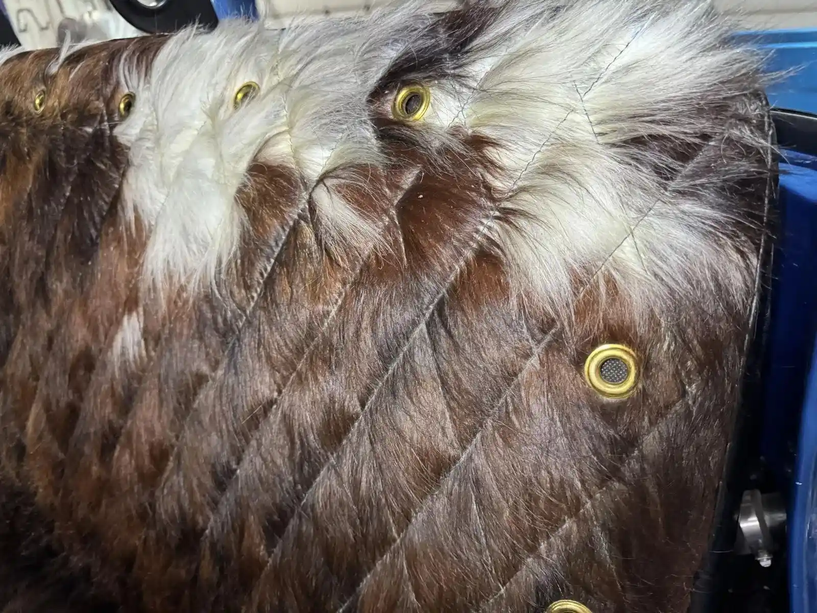 1959 Chevrolet Apache NAPCO 4×4