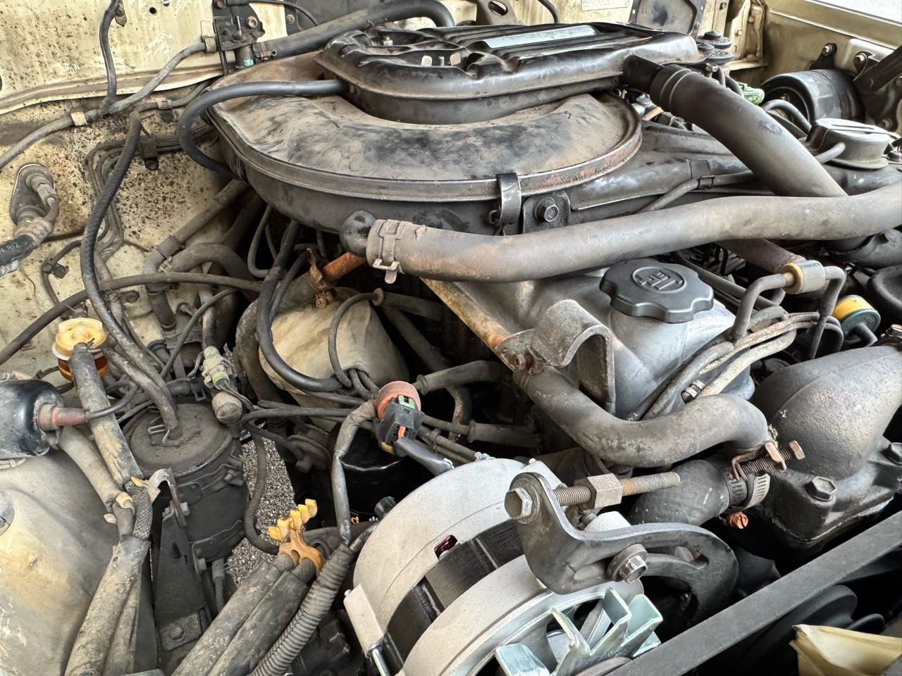 1987 Toyota Land Cruiser