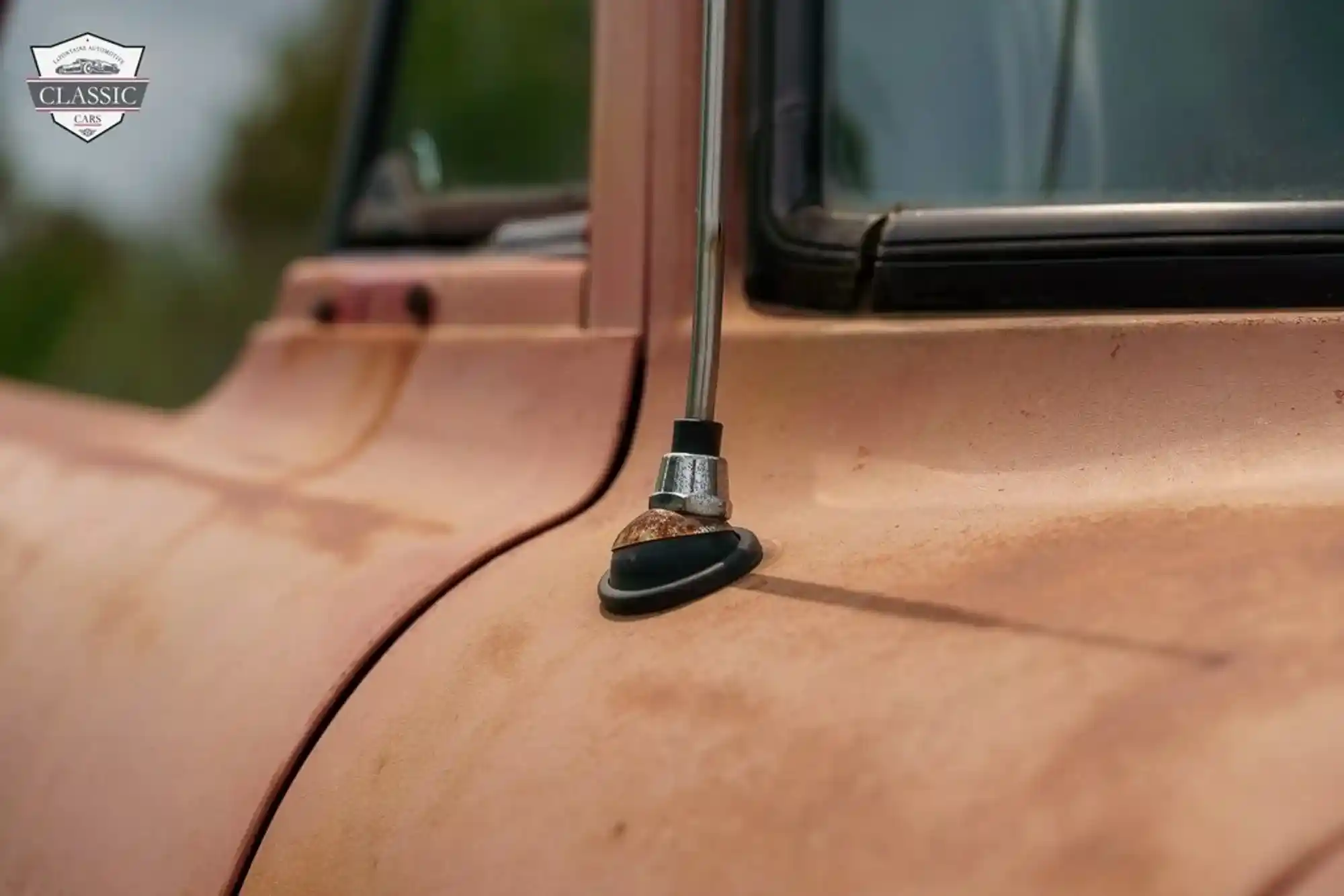 1964 Dodge D100