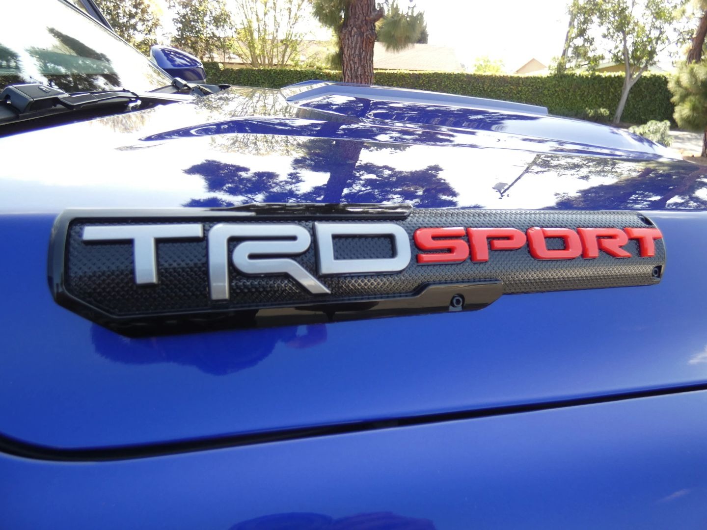 2025 Toyota Tacoma TRD Sport - 5
