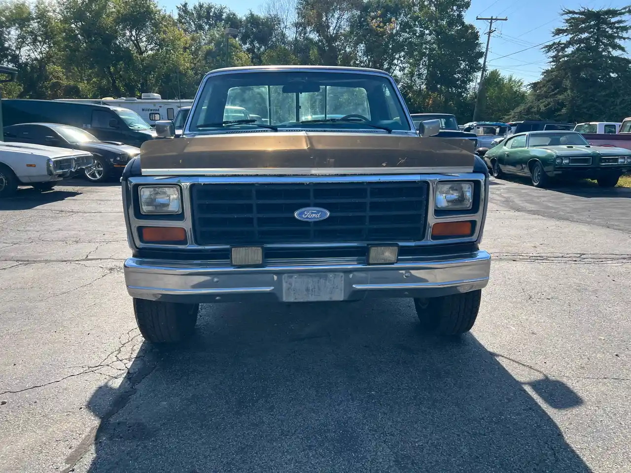 1984 Ford F-150 XLT Styleside