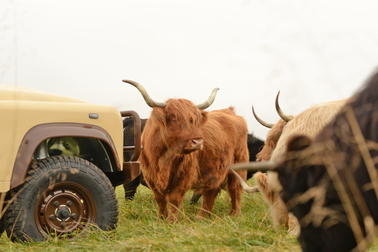 Sold: 1992 Land Rover Defender 110