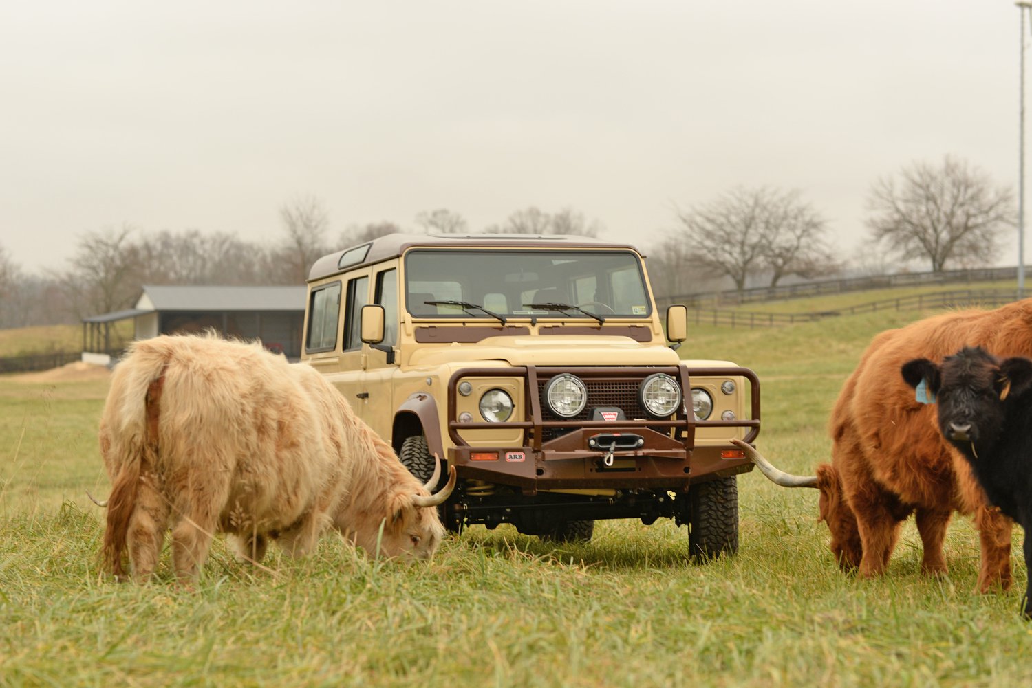 Sold: 1992 Land Rover Defender 110