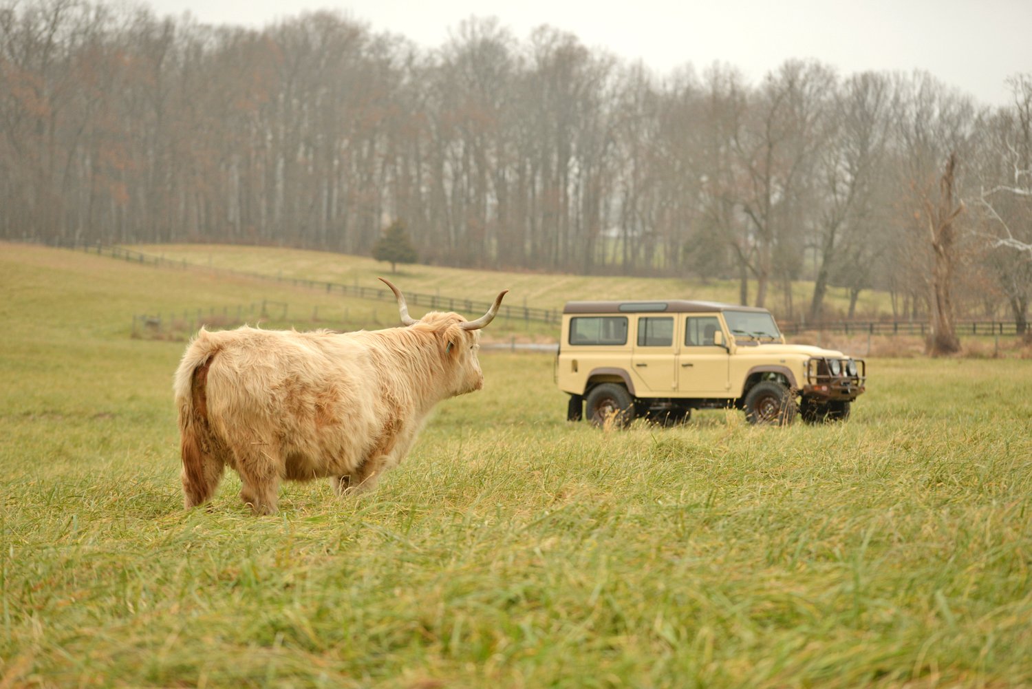 Sold: 1992 Land Rover Defender 110