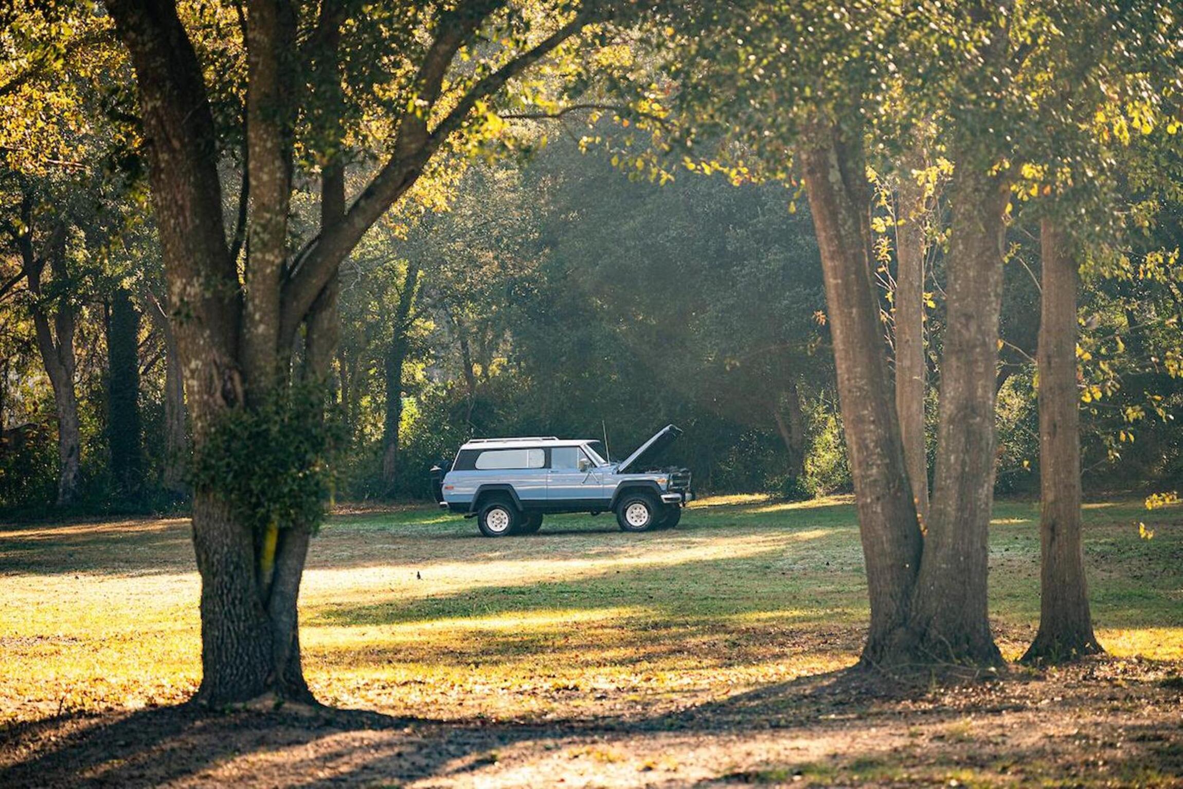 Sold: 1980 Jeep Cherokee Chief - 2